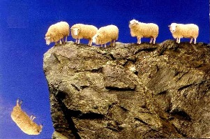 In 2005 in Turkey, a suicide sheep jumped off a cliff and 1500 sheep ...