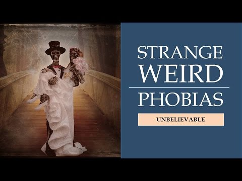 common phobias not Facts 9 Meanings  Factual and Strange Phobias  Their