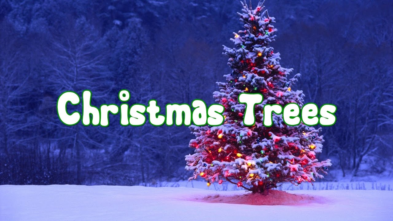 9-facts-about-real-christmas-trees-factual-facts-facts-about-the